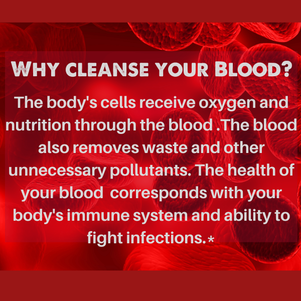 Natural Blood Cleanser Drops (2 fl oz) | Organic & Wildcrafted | SpeedyVite - FREE EXPEDITED