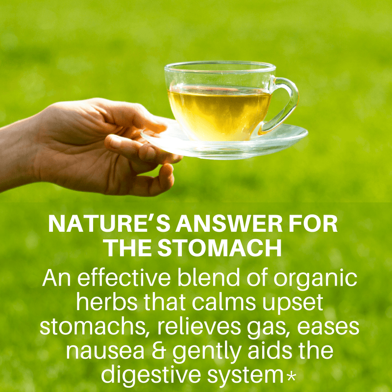 Stomach Soothing Tea – Digestive Support | SpeedyVite - FREE SHIPPING