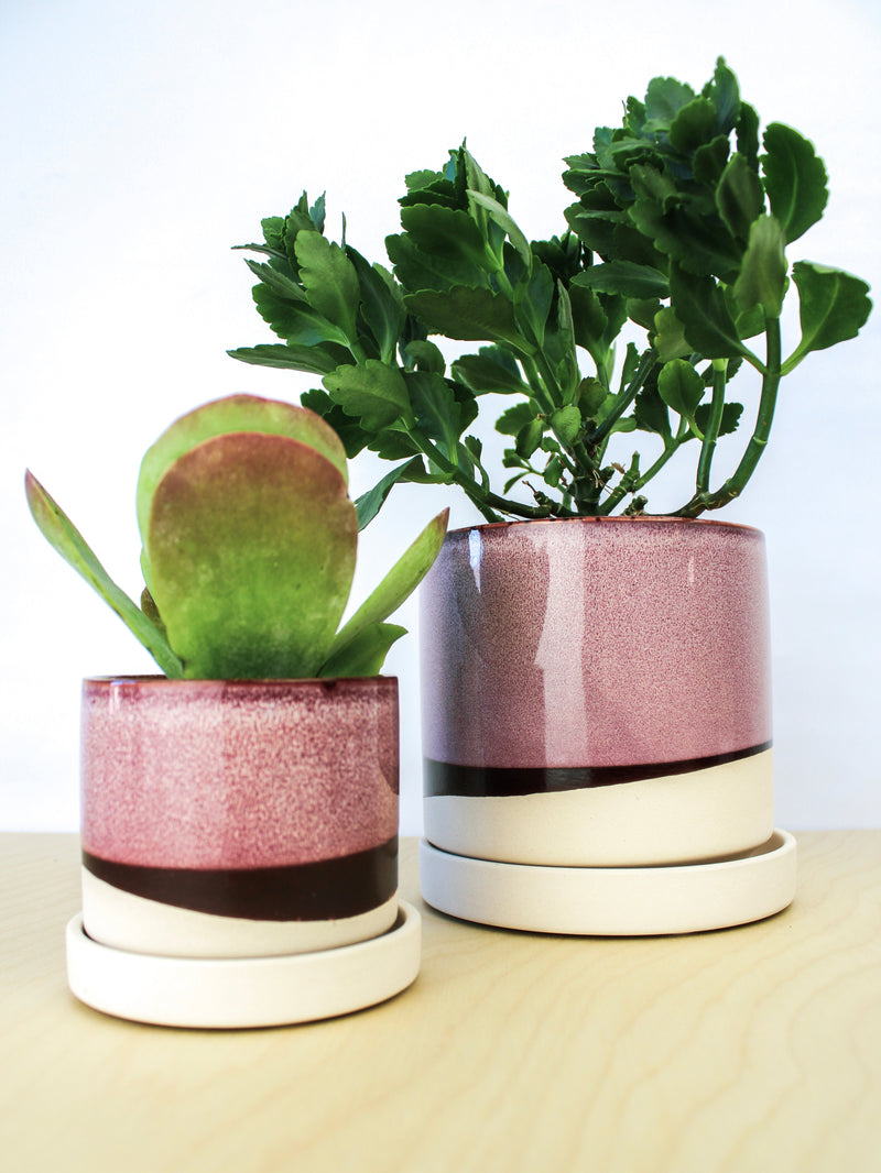 Burgundy Ceramic Plant Pot and Saucer