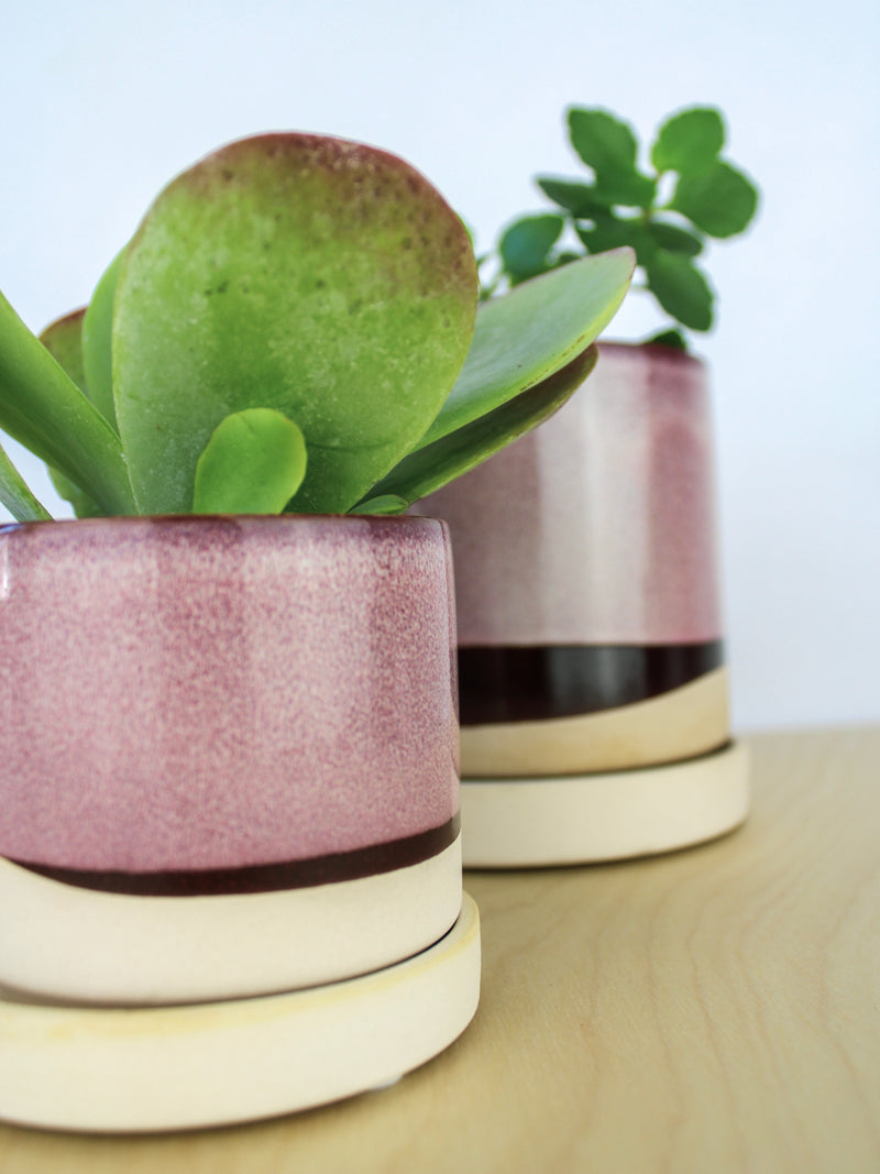 Burgundy Ceramic Plant Pot and Saucer