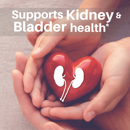 Kidney Cleanse Drops (2 fl oz) | Kidney & Bladder Support | SpeedyVite®