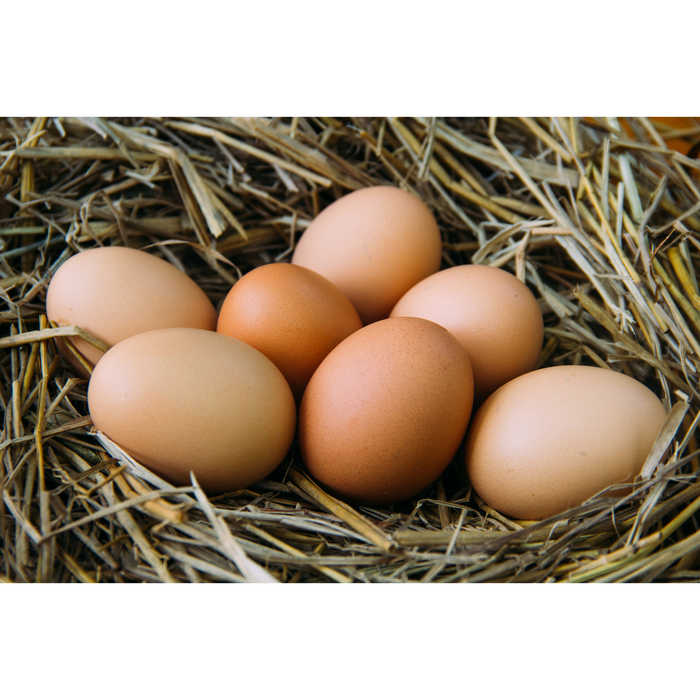 4 Ceramic Eggs