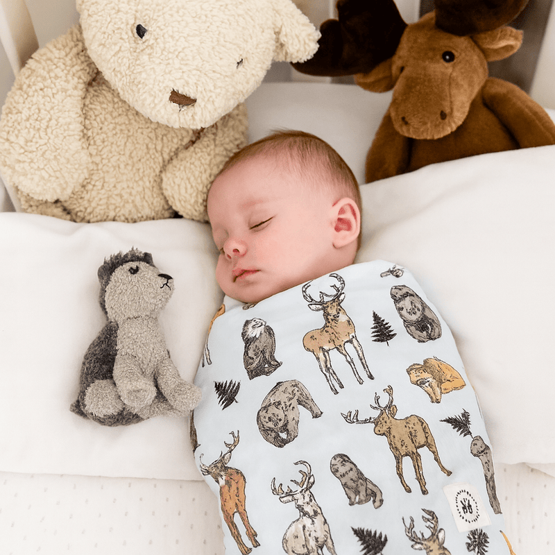 Into The Wild Swaddle